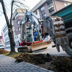 Нове саднице у Улици Јована Дучића