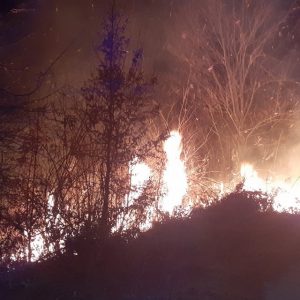 Апел да се не пали ватра на отвореном простору Апел да се не пали ватра на отвореном простору