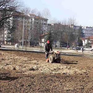 Обнова градских травњака