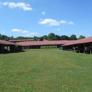 Нови азил за псе ускоро на Мањачи Нови азил за псе ускоро на Мањачи