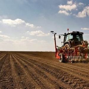 Расписан јавни оглас: У закуп понуђено 87,6 хектара пољопривредног земљишта