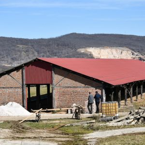 Počela gradnja novog azila za napuštene pse