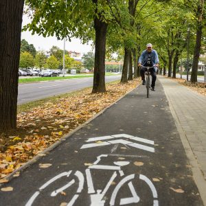 Grade novu trim stazu uz Istočni tranzit