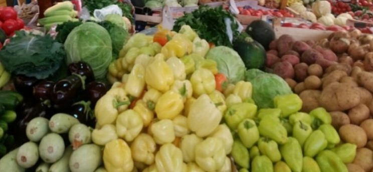  Фото илустрација