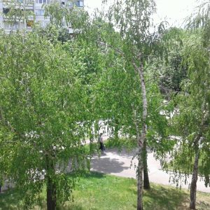 У функцији поленски семафор на сајту Града У функцији поленски семафор на сајту Града