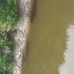 Вода из „Водовода“ сигурна, цвјетање алги безопасна појава Вода из „Водовода“ сигурна, цвјетање алги безопасна појава