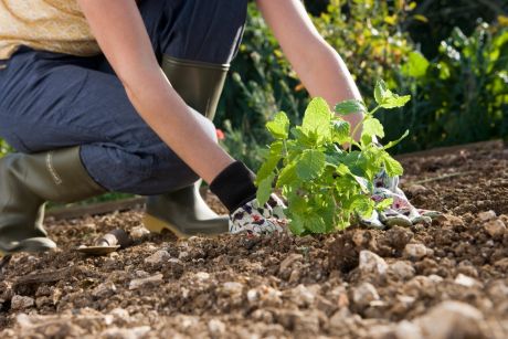  Фото илустрација