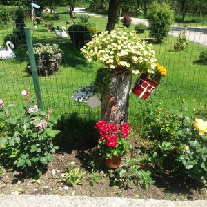 Велики број пријава за „Бирамо најуређеније“ Велики број пријава за „Бирамо најуређеније“