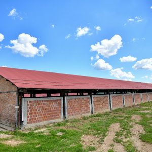 Изграђен нови азил за напуштене псе Изграђен нови азил за напуштене псе