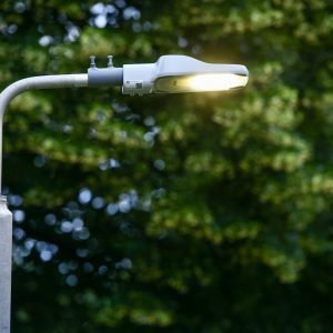 Нова расвјета у Борику