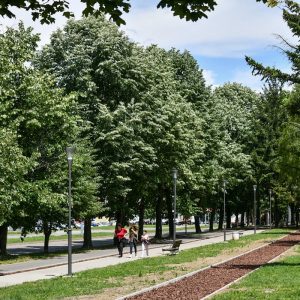 Нова трим стаза у подножју Старчевице Нова трим стаза у подножју Старчевице