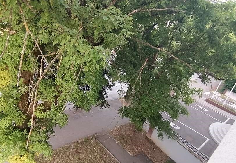  Фото: Грађанска патрола