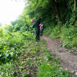 Уређене рекреативне стазе на Бањ брду