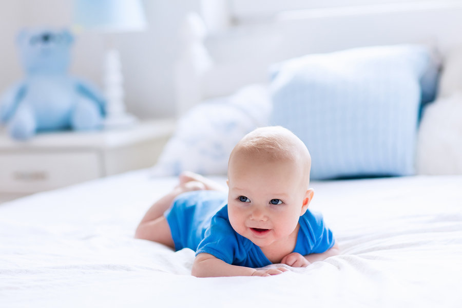  Фото илустрација