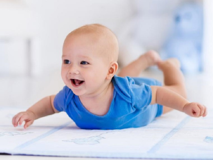  Фото илустрација