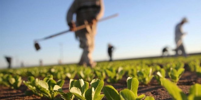  Фото илустрација