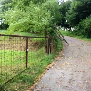 „Грађанска патрола“: Запуштене парцеле један од крупнијих проблема