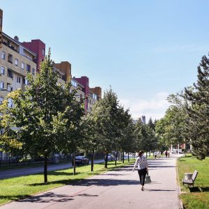 На јесен садња три нове алеје