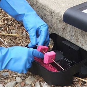 Почиње јесења систематска дератизација