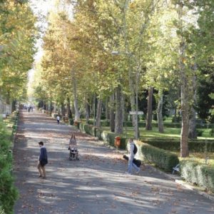 Подршка за пројекте младих Подршка за пројекте младих