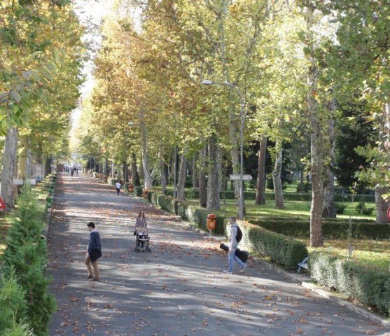  Фото архива