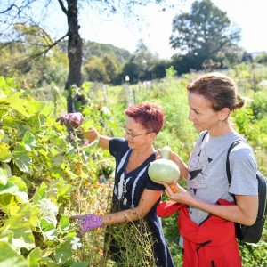 Радојичић обишао „Градске баште“: Од запуштене парцеле до плодне оранице