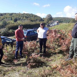 Понир: Садња 625 нових садница