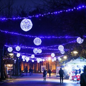 Радојичић: Без концерата за Нову годину