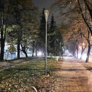 „Грађанска патрола“: Највише пријава за дивље депоније и расвјету „Грађанска патрола“: Највише пријава за дивље депоније и расвјету