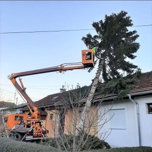Саниране посљедице олујног невремена: Порушено 13 стабала Саниране посљедице олујног невремена: Порушено 13 стабала