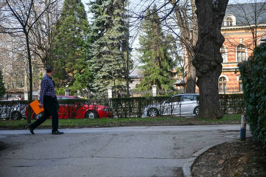  Фото: А. Чавић