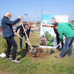 Нове саднице око дјечијег игралишта у Ади