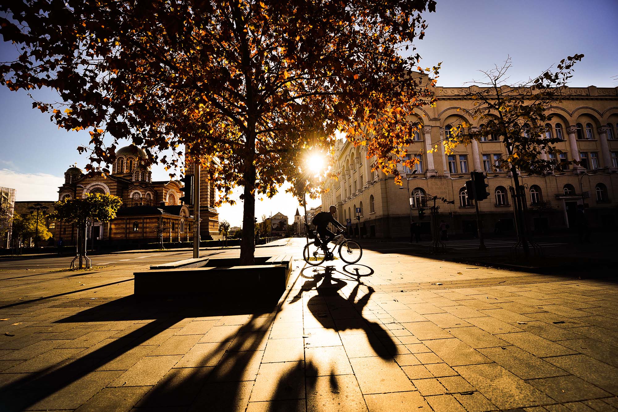  Фото: А. Чавић