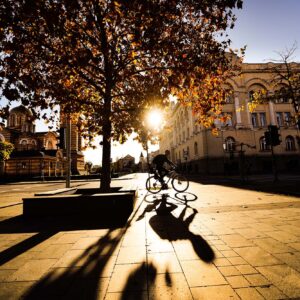 Запослени – Градска управа Запослени – Градска управа