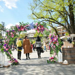 Цвијеће прекрило Парк „Петар Kочић“ Цвијеће прекрило Парк „Петар Kочић“
