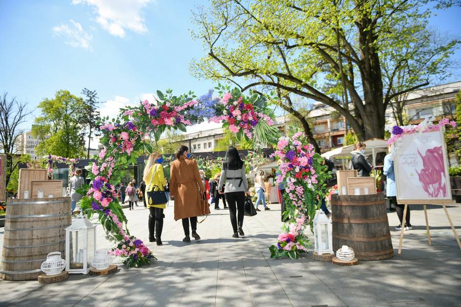  Фото: А. Чавић