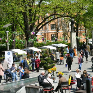 Пристигле бројне честитке граду за рођендан Пристигле бројне честитке граду за рођендан