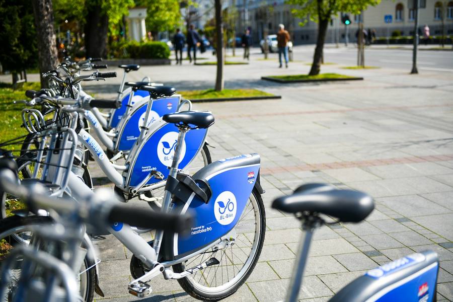  Фото: А. Чавић