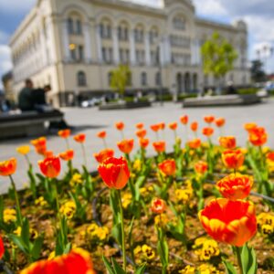У петак: Изложбе, радионице и туристички обилазак града