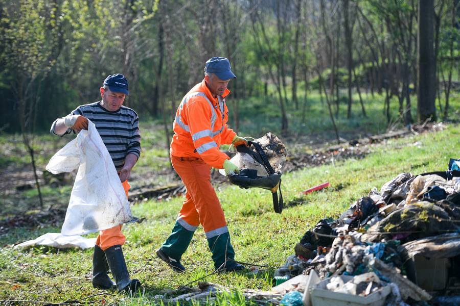  Фото: А. Чавић