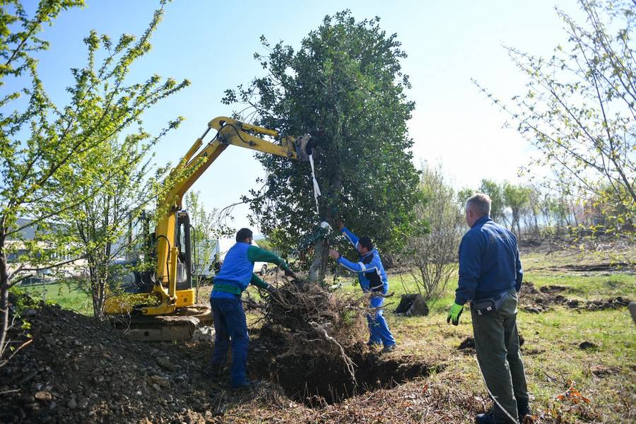  Фото: А. Чавић