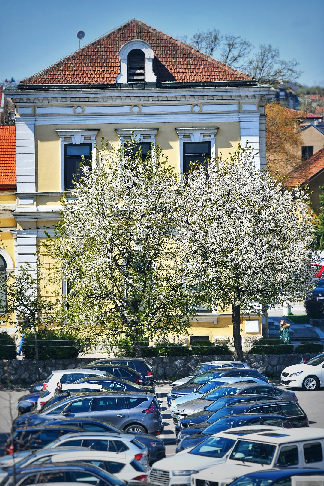  Фото: А. Чавић