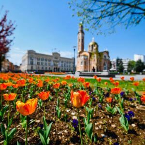 Za Dan grada planirano 30 različitih manifestacija