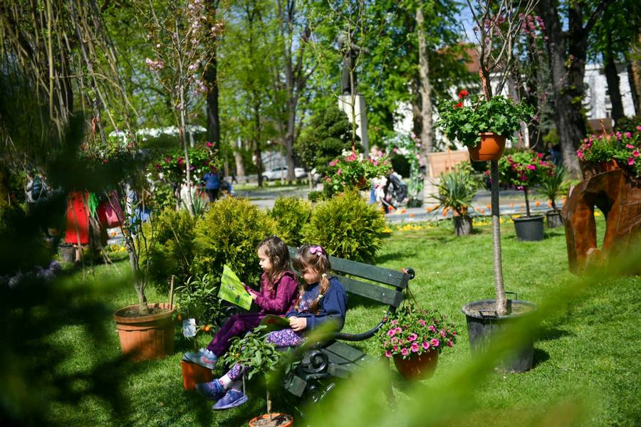  Фото: А. Чавић