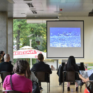 Стакленац: Приказан документарни филм о пиралену