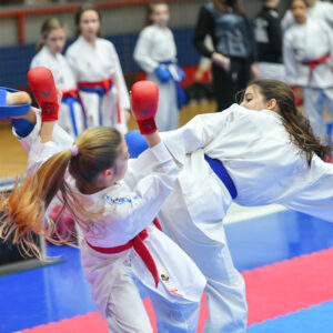 Пријаве отворене до 1. јула: Позив спортским организацијама за учешће на јавним позивима из области спорта Пријаве отворене до 1. јула: Позив спортским организацијама за учешће на јавним позивима из области спорта