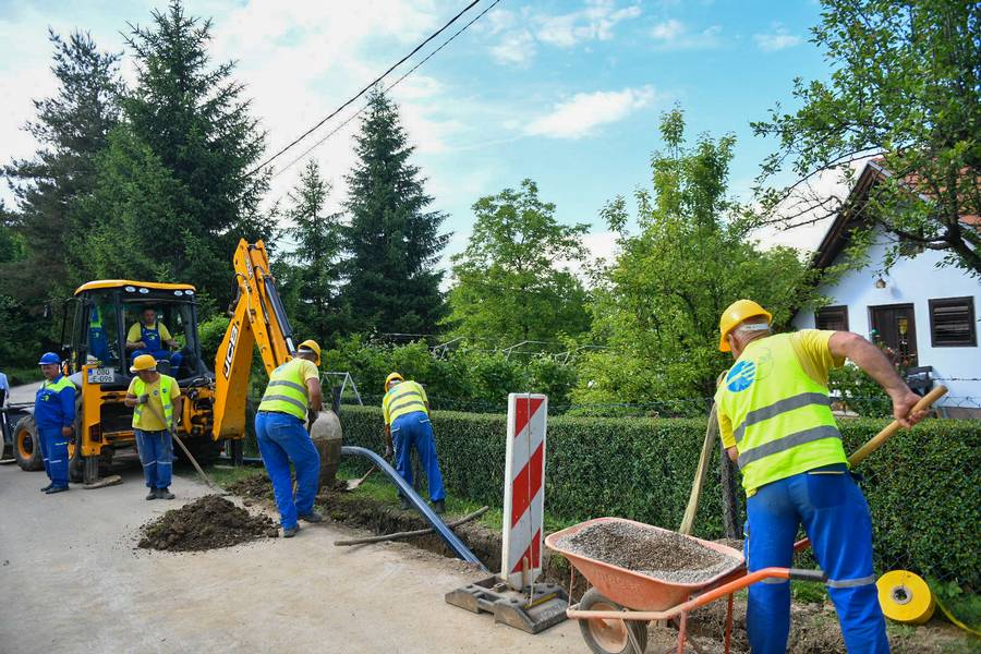  Фото: А. Чавић