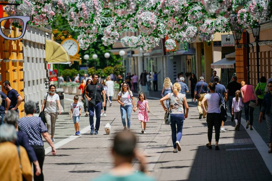  Фото: А. Чавић