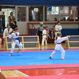 Banja Luka u znaku karatea Banja Luka u znaku karatea