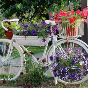 Пријаве у току: Будите дио традиционалне акције „Бирамо најуређеније“